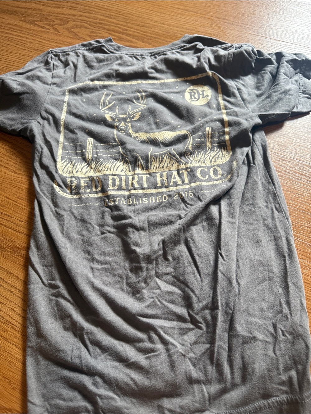 Men’s Gray Graphic Tee